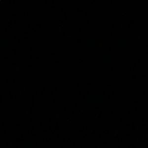 Meet your Posher, Diego